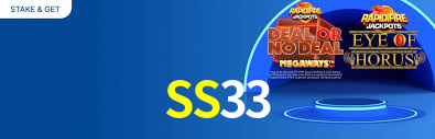 SS33
