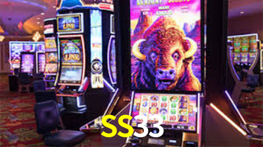 SS33,SS33.Com