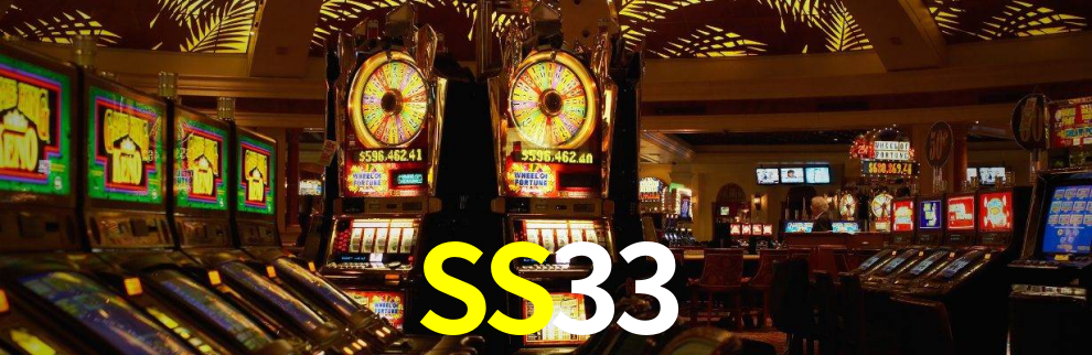 SS33